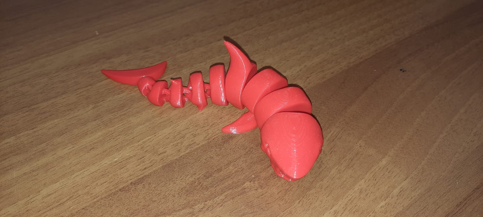 Protoripo animale